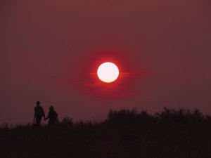 Two People Walking Hand in Hand During Sunset